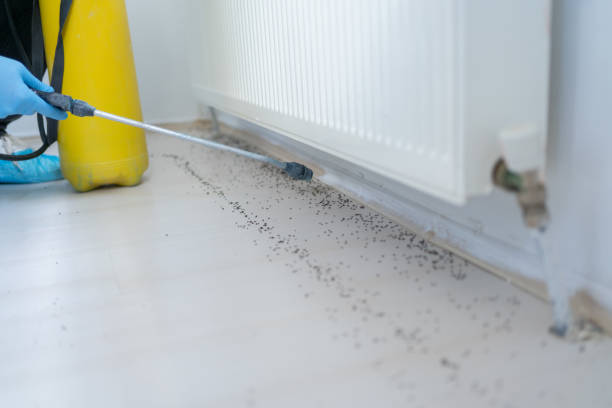 Reliable Roselawn, IN Pest Control Solutions