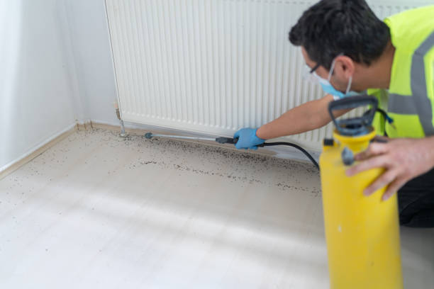 Best Local Pest Control Services  in Roselawn, IN